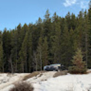 Meet your Posher, Niki